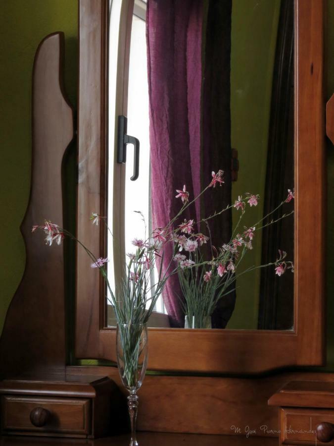 La Casa De La Lluna El Poble Nou del Delta
