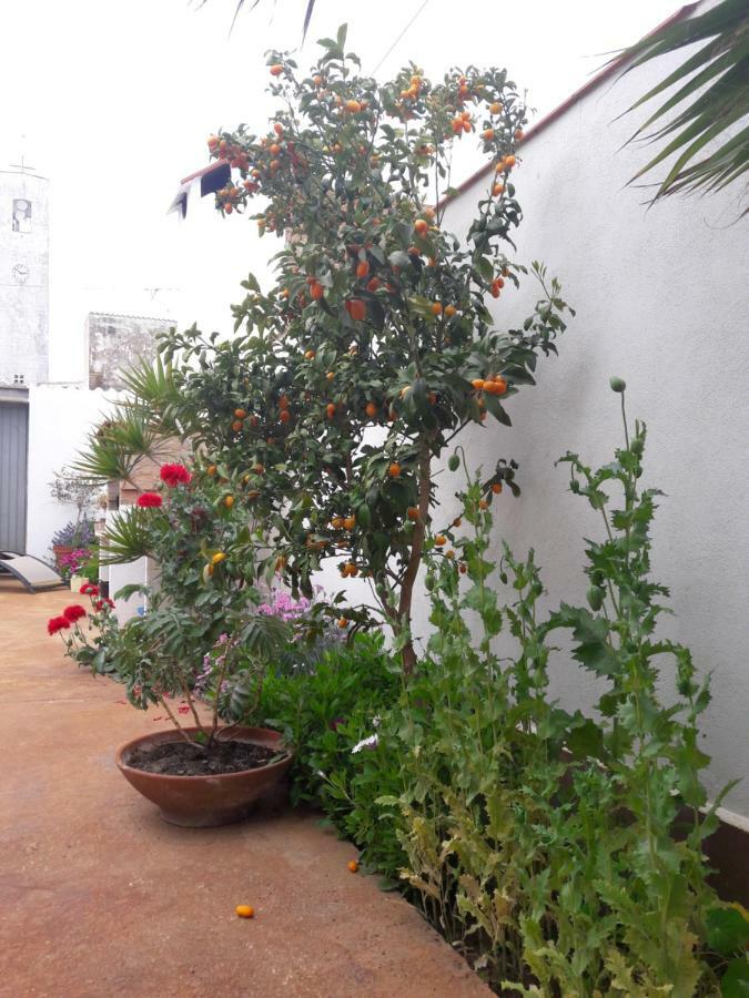 Ferienhaus La Casa De La Lluna *